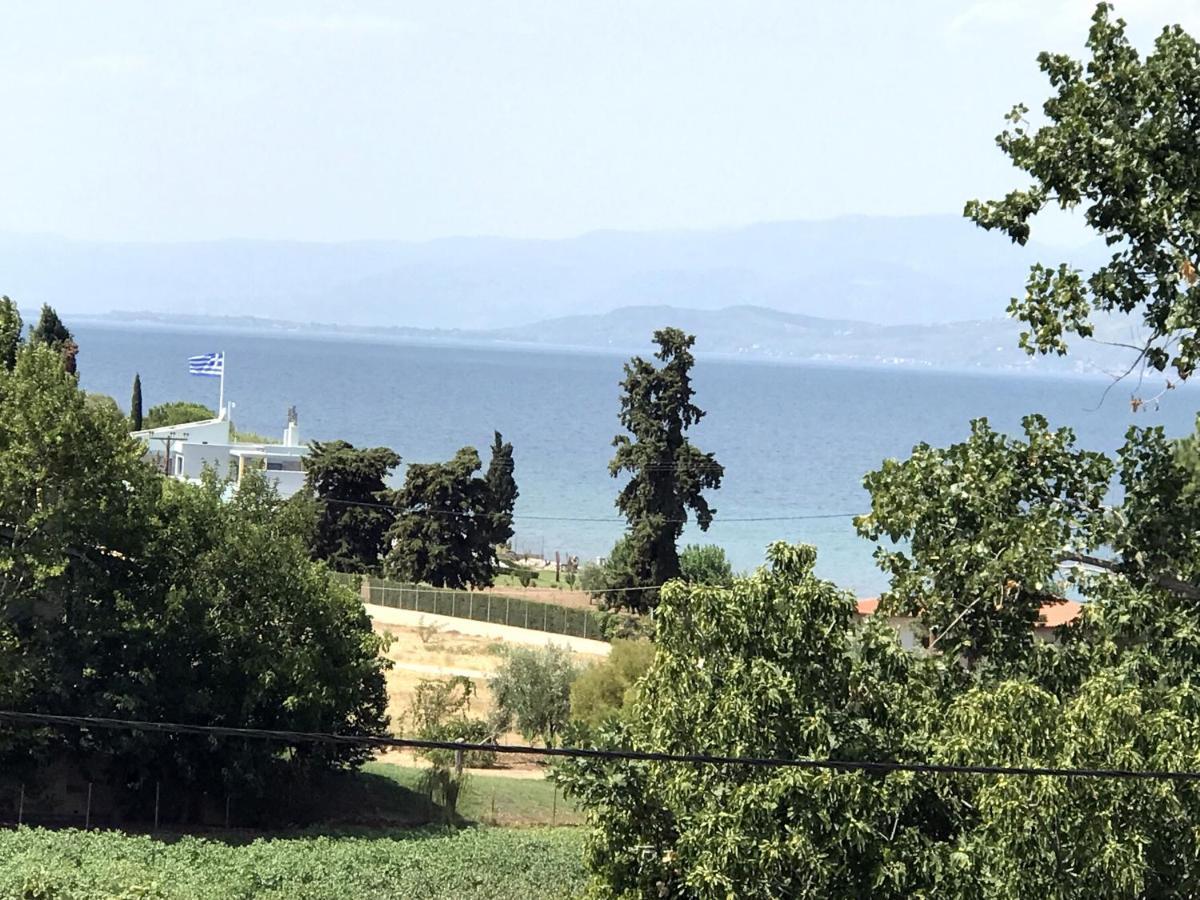 Studio Kalypso Arkítsa Екстериор снимка